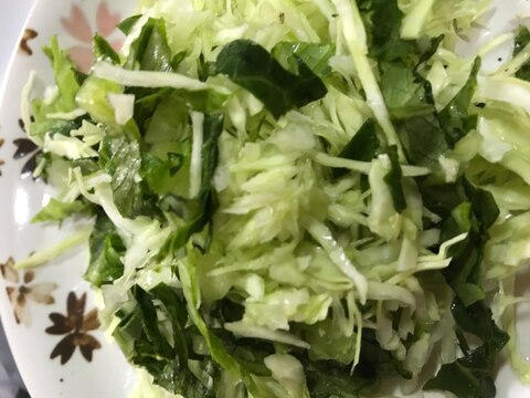 ロメインレタスとキャベツの生野菜サラダ(o^^o)